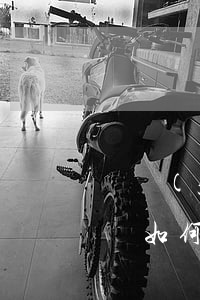 廣發(fā)信用卡可以停息掛賬延期還款嗎，如何申請(qǐng)廣發(fā)信用卡停息掛賬和延期還款？